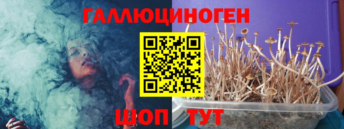 Урюпинск  Псилоцибиновые грибы прущие грибы  закладки  Вход с VPN 